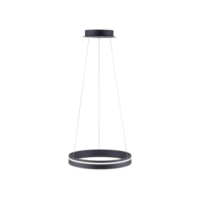 Paul Neuhaus - Design hanglamp Q-Vito Ø 40cm antraciet Hoge Kwaliteit