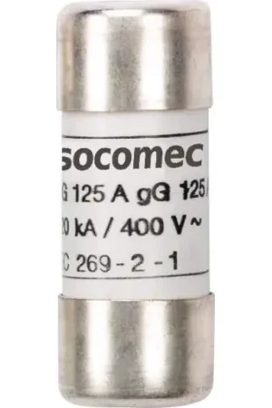 Alleen Vandaag Socomec ZEK. GR.10X38 GG 2A 500V