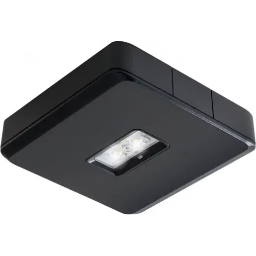 Fabrieksprijs Van Lien Evago noodverlichtingsarmatuur Vluchtwegverlichting Plafondopbouw zwart IP54 7TCA091140R0505