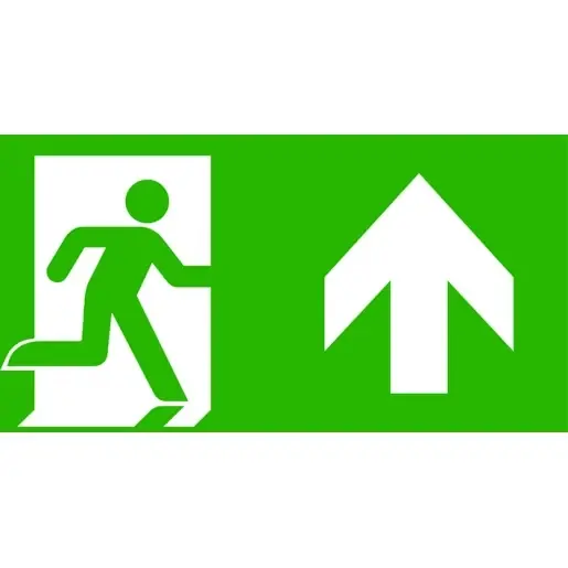 Goedkoop Van Lien Indulux pictogram noodverlichting Sticker rechtdoor/naar boven 7TCA091350R4199