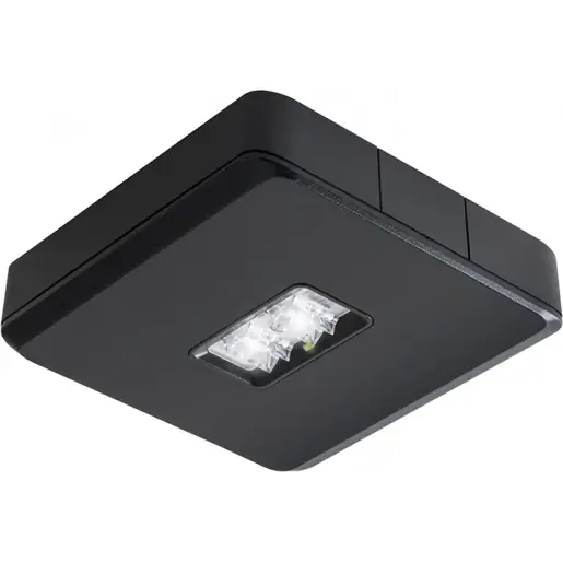Van Lien Evago noodverlichtingsarmatuur Vluchtwegverlichting Plafondopbouw zwart IP54 7TCA091180R0361 Direct Verzonden
