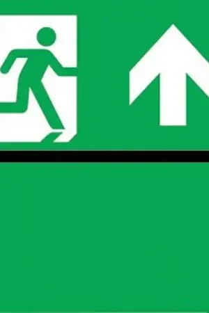 Eaton Blessing Skopos perspex noodverlichting led + groen vlak 174-001-053 Dagaanbieding