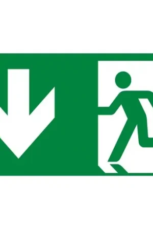 Eaton Blessing CrystalWay inlegpictogram noodverlichting Inlegvel/-plaat naar beneden LUM10587 Goedkoop