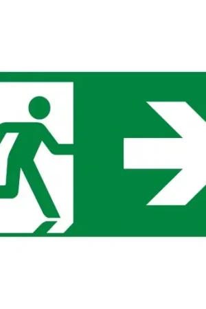 Favoriet Eaton Blessing CrystalWay inlegpictogram noodverlichting Inlegvel/-plaat rechts LUM10575