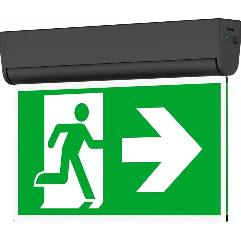 Goedkoop Opple Ecomax noodverlichtsarmatuur Vluchtwegverlichting/-indicatie Wandopbouw/plafondopbouw zwart IP20 met pictogram 572005002100