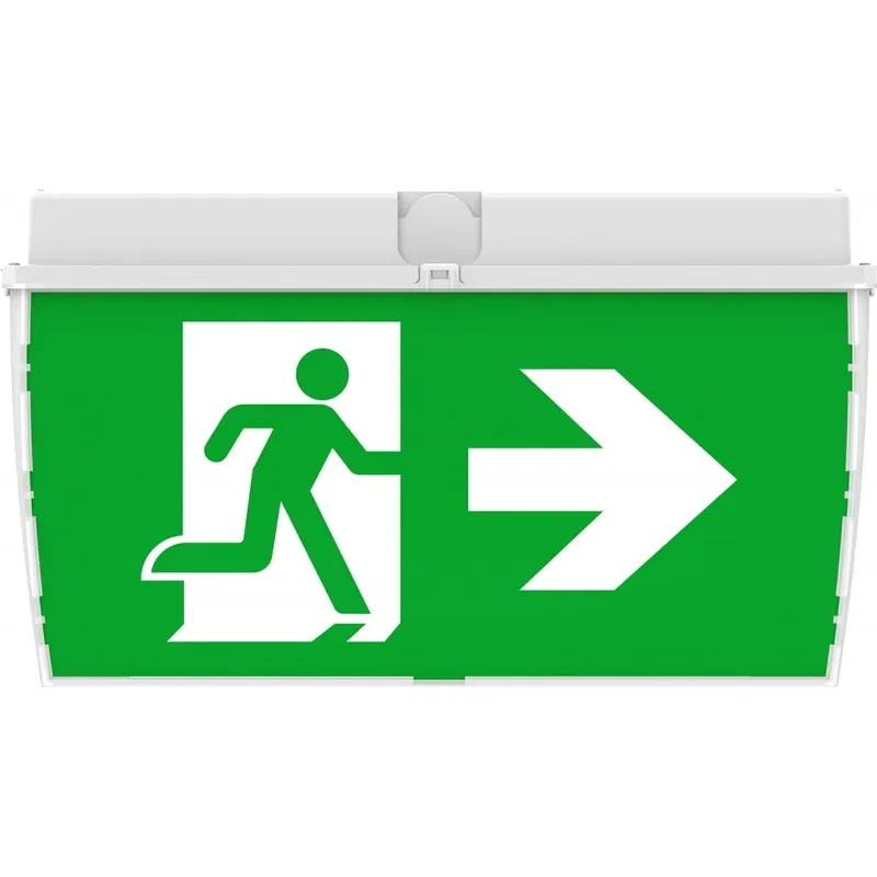 Laatste Kans Opple Ecomax noodverlichtsarmatuur Vluchtwegverlichting/-indicatie Plafondopbouw zwart IP65 met pictogram 572005003900