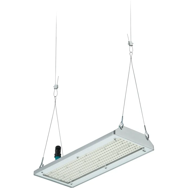 Philips GentleSpace BY580X LED halstraler 4000K 17000lm dimbaar zilver 41-80° - Breedstralend IP65 8720169590564 Veilige Betaling