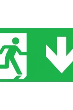 Normalux Ecolight Gennius pictogram noodverlichting Inlegvel/-plaat naar beneden PG-SD Beste Prijs