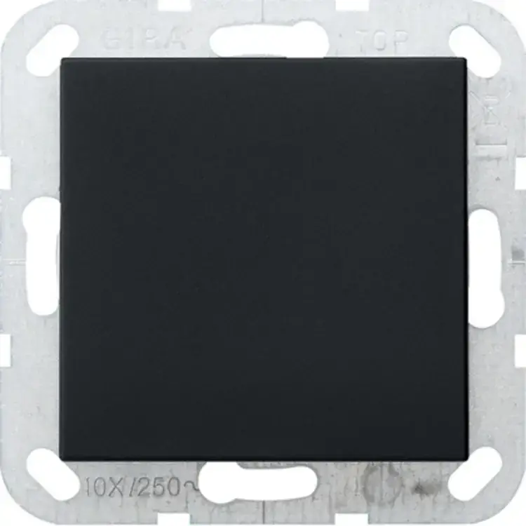 Gira blinddeksel incl. draagframe Systeem 55 zwart mat (0268005) Direct Verzonden